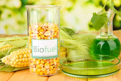 Bethnal Green biofuel availability